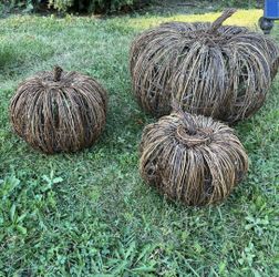 Outdoor grapevine pumpkins