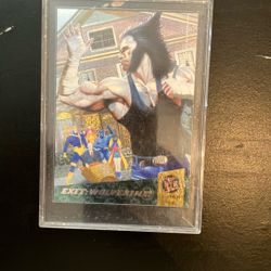 94 Fleet Ultra Exit: Wolverine!