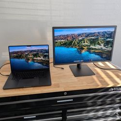 LG UltraFine 24MD4KL 4K Monitor Display (Mac)