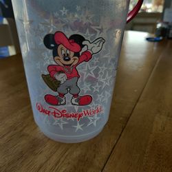 Disney world Popcorn Bucket Frorida