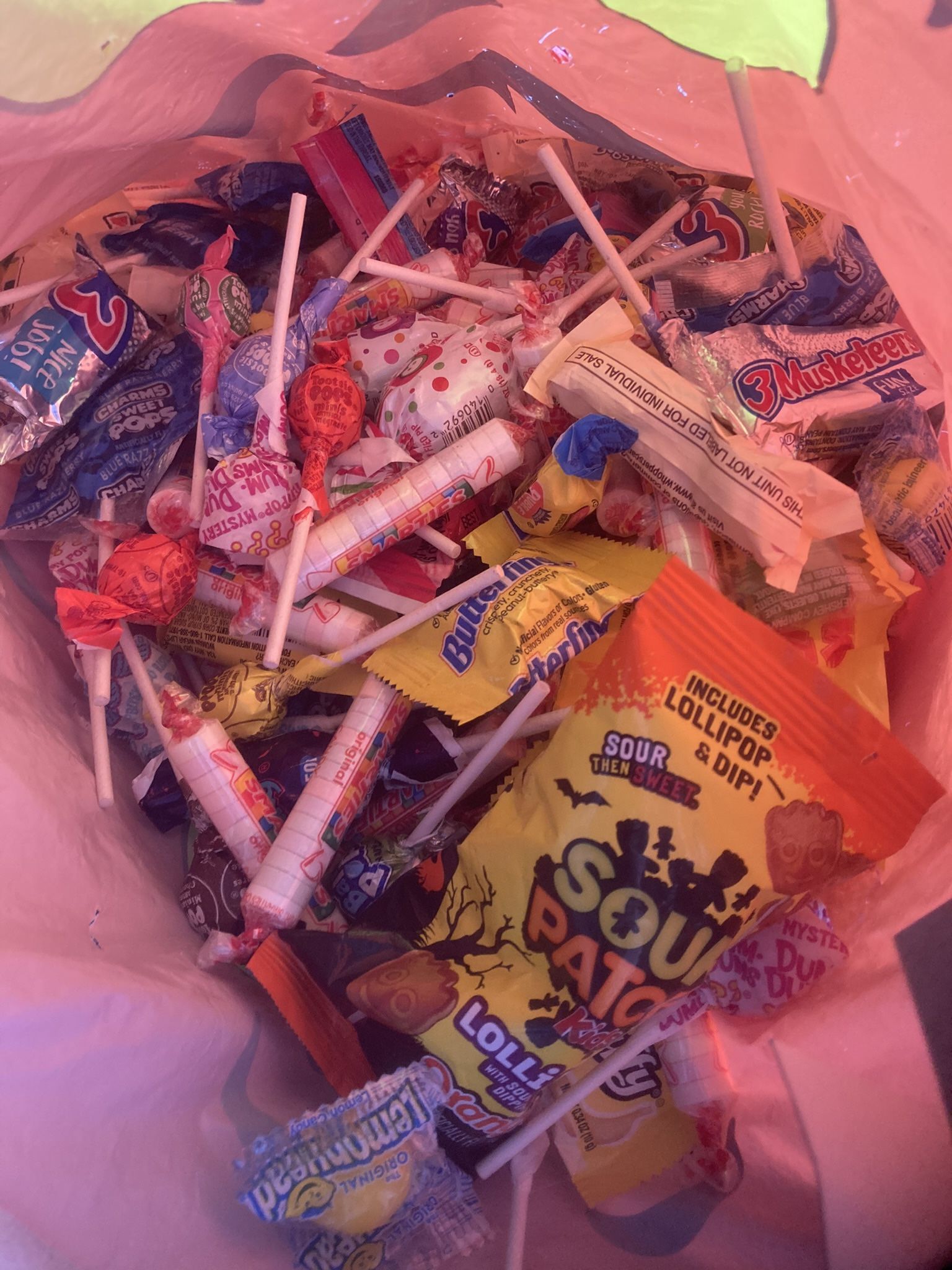 Please Help Us Find Our Mocha!