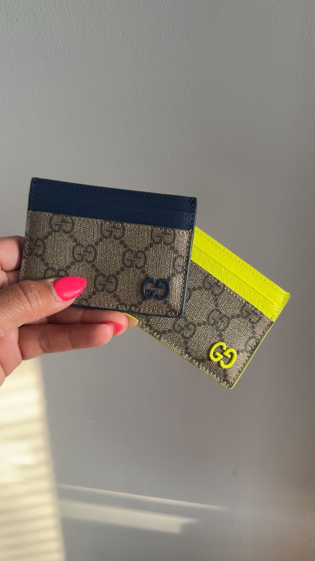 Green Or Blue Card Holder