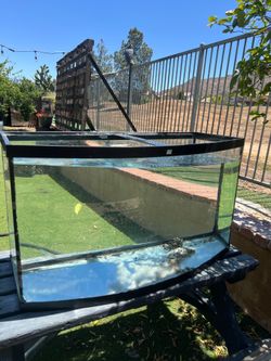 Bowfront fish tank/aquarium for sale