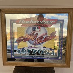 Budweiser, Arizona diamondbacks inaugural season mirror