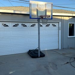 Lifetime Basketball Hoop