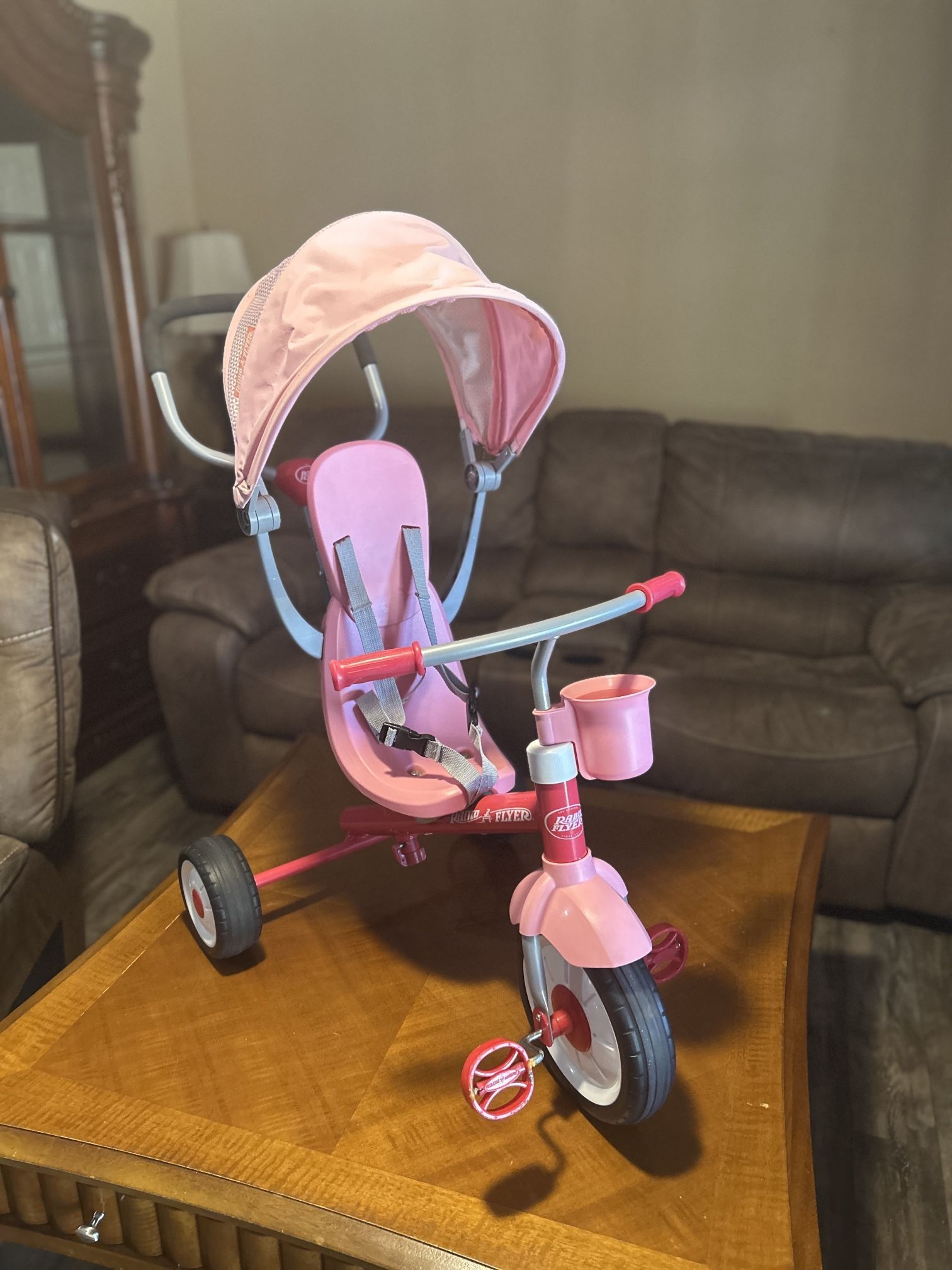 Pink Radio Flyer's 4-in-1 Activity Stroll 'N Trike