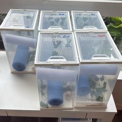 Crested Gecko Starter Tank Everything Included