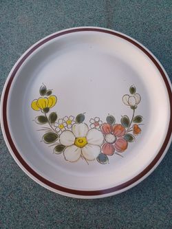 1970 Woodhaven collection Sunnybrook dinner plates