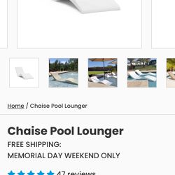 Chaise Pool Lounger 