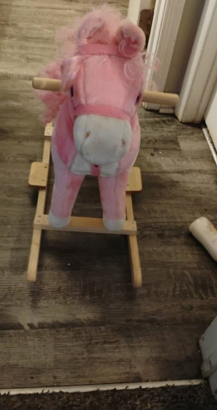 Pink Pony 