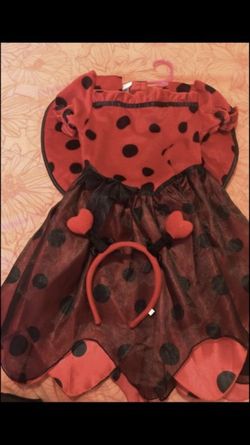 Ladybug girl costume