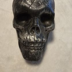 Ashland plastic skull Halloween decoration party supply