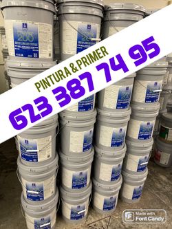 Paints Primer Sealers 