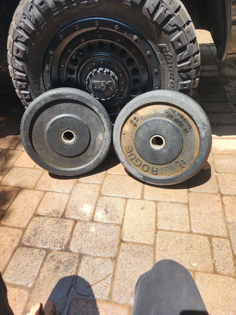 2× Rouge 45 Lb Rubber Weights