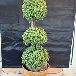Artificial Triple-Ball Boxwood Topiary Tree in a Ceramic Pot. 