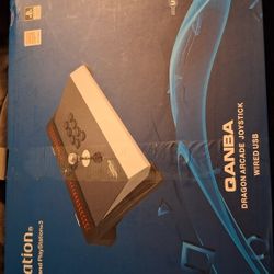 New Qanba Dragon Fightstick