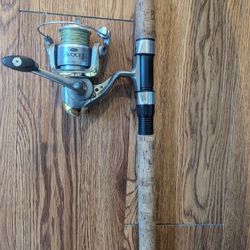 7' Mitchell Avocet Spinning Combo