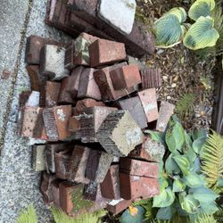 Free Bricks