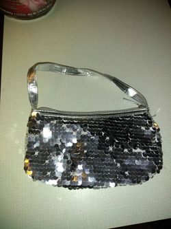 Silver shimmer purse