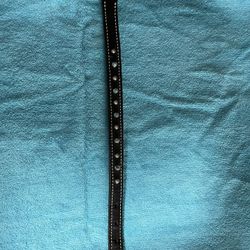 Spiked Dog Collar 13”