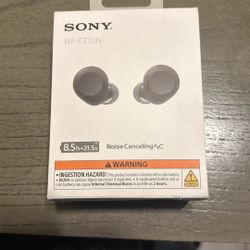 Sony Noise Cancelling Earbuds 
