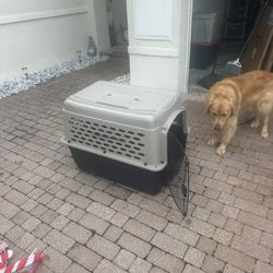 Dog Grate 