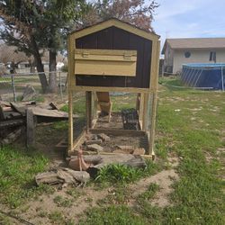 Chicken Coop