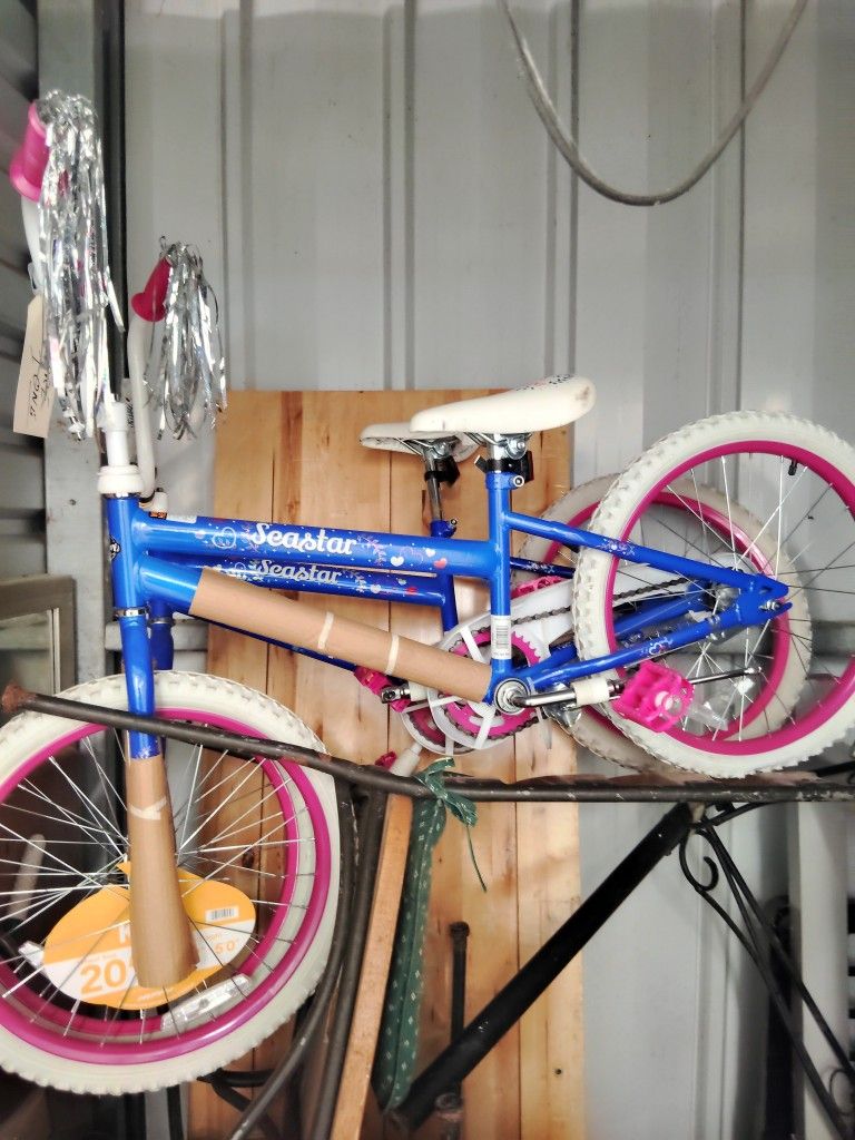 2 Bikes 2 Storm doors