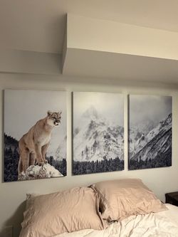 Canvas Print Mountain Lion (3-Piece)