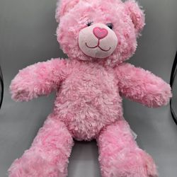 Build a Bear Teddy Pink Cuddles Teddy Plush 16”Stuffed Animal Easter Spring