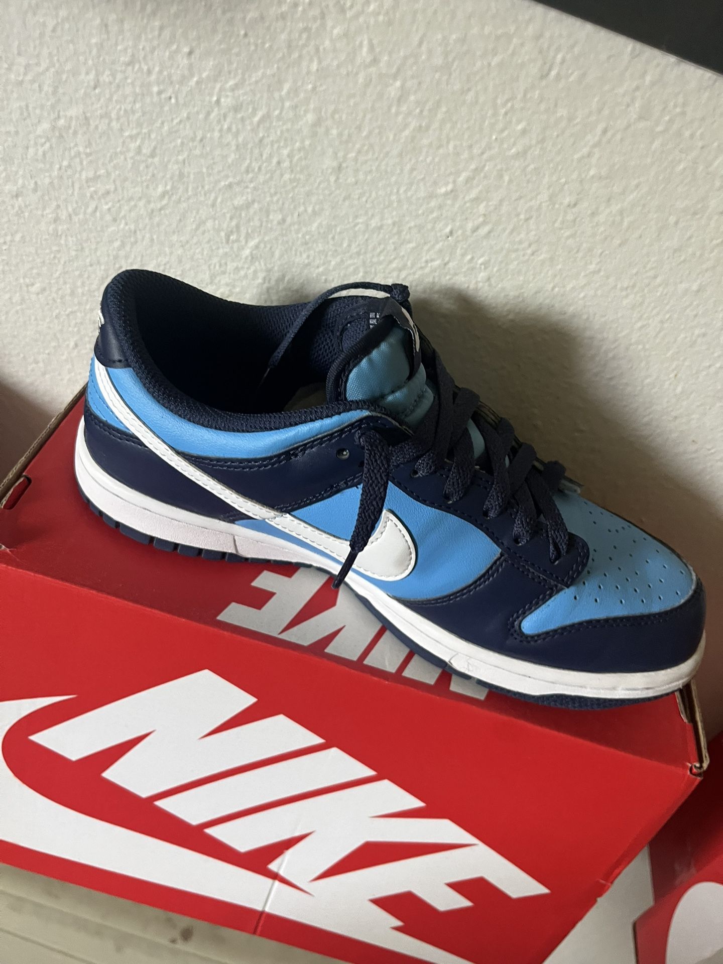 Nike Dunks Low’s