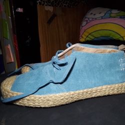 Men's Van's Blue Suede Shoe