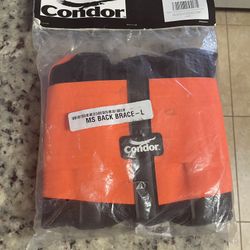 Back Brace 