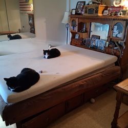 Water Bed  Frame I Had A Queen Sizes Mattress In  For Sale No Mattress Included 