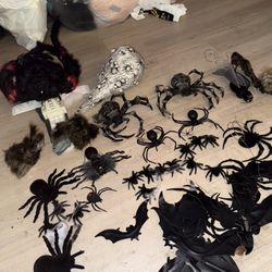 Spider & Bats Bundle 