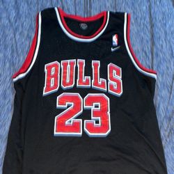 Micheal Jordan Team Nike Jersey