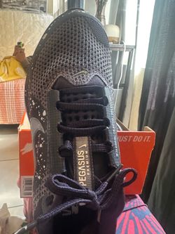 Nike Pegasus new
