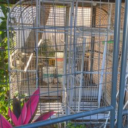 Birds Cage