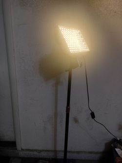 tattoo light