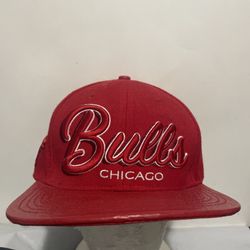 RARE Chicago Bulls Pro Standard Adjustable Hat leather 