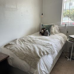 Twin frame and mattress GREAT condition 