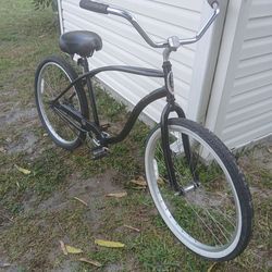 Adult cruiser bike