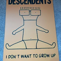 Descendents I Don’t Want to Grow Up Displate Poster