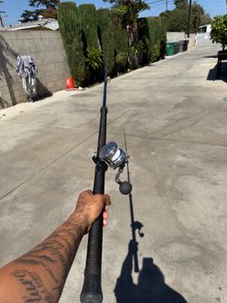 Seeker rods