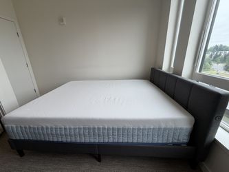 Queen Mattress - Zinus Cooling Hybrid