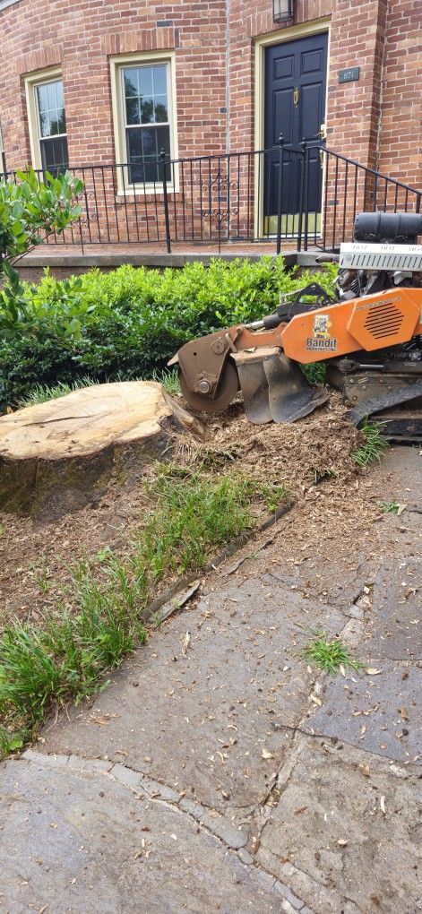 Stump Grinding