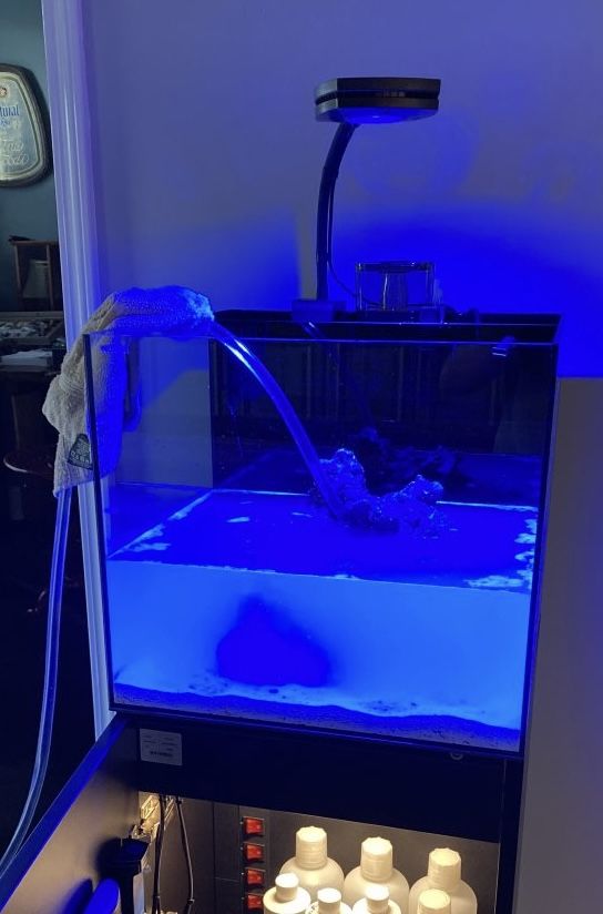Reef Aquarium With Live Rock And Much More