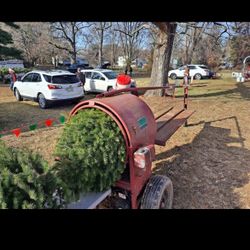 Christmas Tree Delivery 