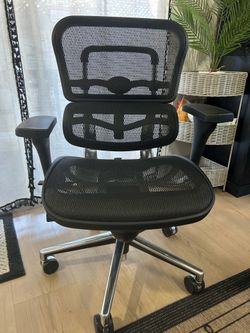Ergohuman High Back All Mesh Chair