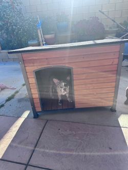 Dog house